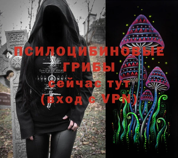 спайс Абаза