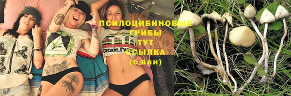 apvp Абинск