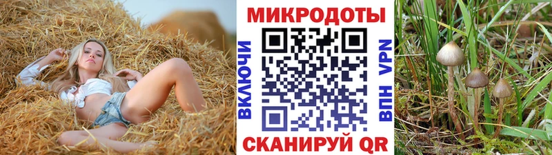 Псилоцибиновые грибы Psilocybine cubensis  даркнет сайт  Чегем 
